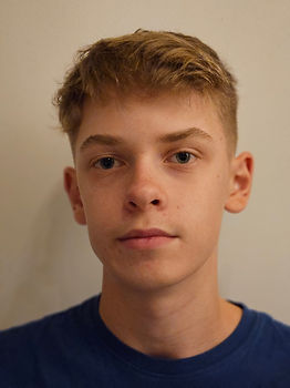 Kļaviņš Vestards